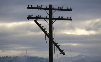 damaged utility pole