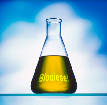 biodiesel heating oil blends